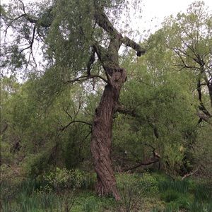 Meet your Posher, Amalia